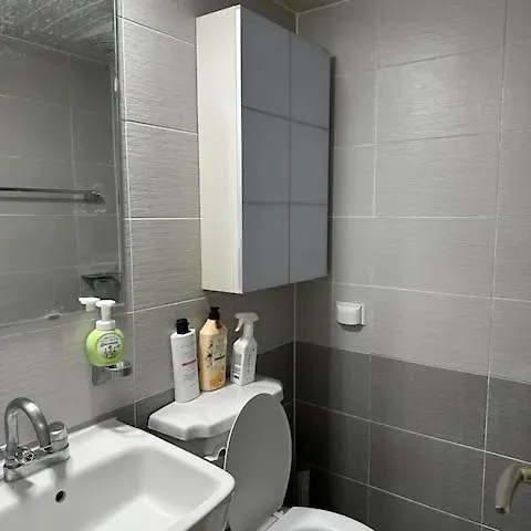 Ss Cosy Single Near Sindaebangsamgeori Station 아파트