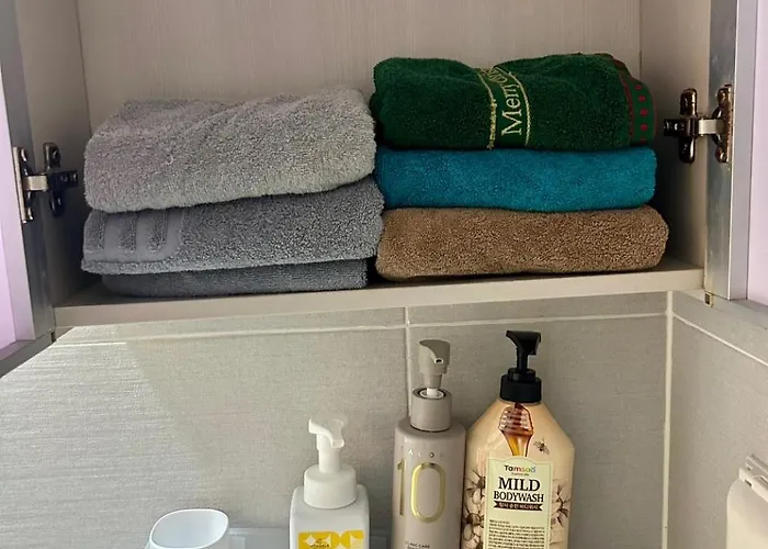 Ss Cosy Single Near Sindaebangsamgeori Station 아파트