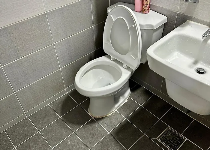 Ss Cosy Single Near Sindaebangsamgeori Station 아파트 *